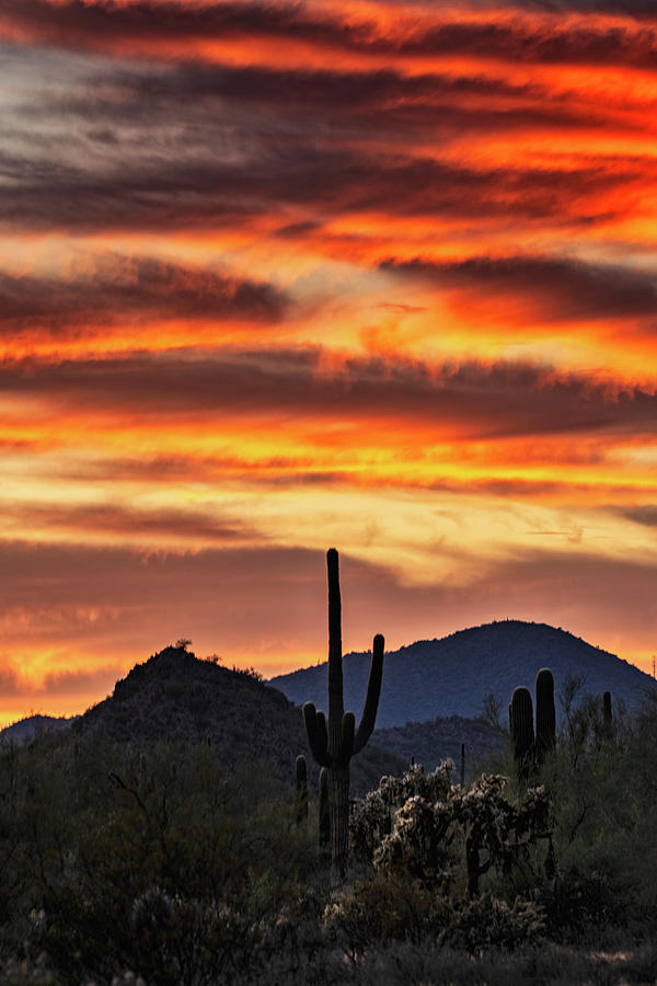 Sonoran Skies Afire  #1 Photograph by Saija Lehtonen
