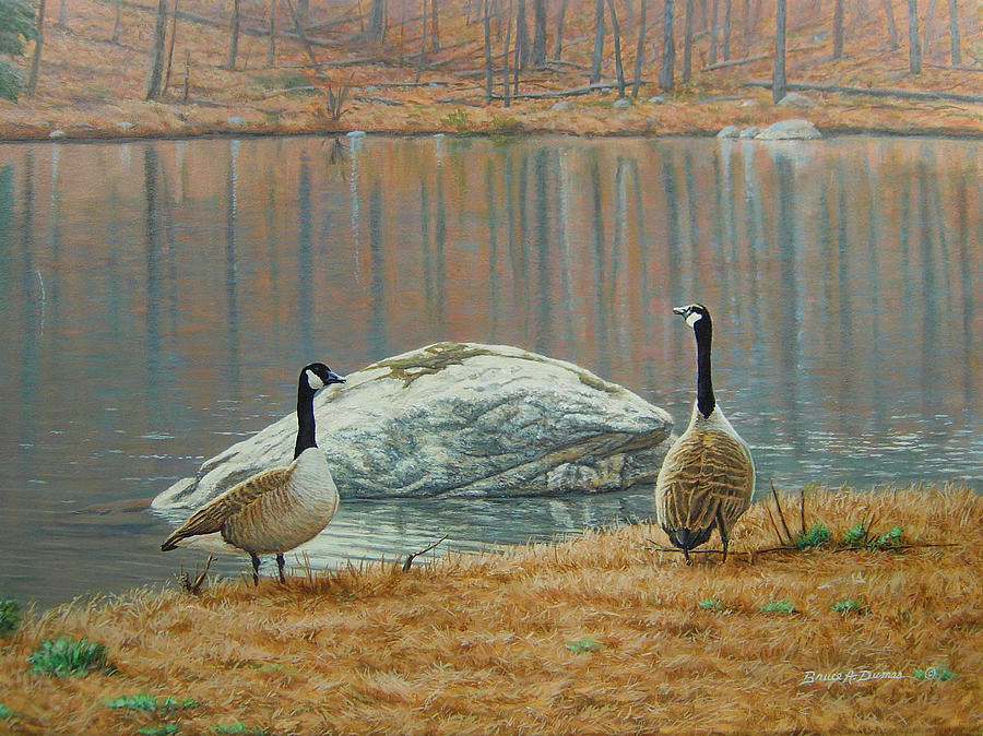South Carolina Geese #1 Painting by Bruce Dumas