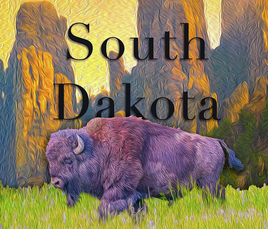 South Dakota Digital Art By Aaron Geraud Fine Art America