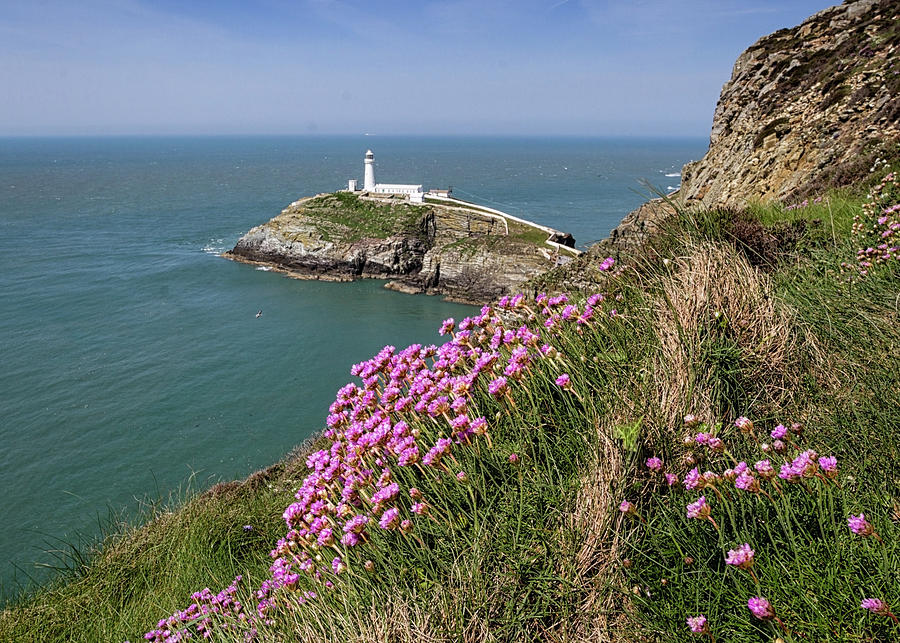 South Stack lighthouse Anglesey #1 Photograph by Shirley Mitchell