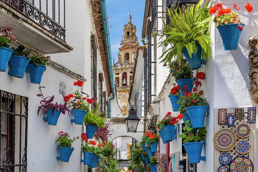 Spain, Andalusia, Cordoba District, Cordoba, Cobbled Alley Adorned With Flowers With Whitewashed Houses & Cathedrals Bell Tower In Background #1 Digital Art by Stefano Politi Markovina