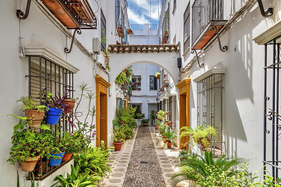 Spain, Andalusia, Cordoba District, Cordoba, Picturesque Cobbled Alley With Whitewashed Houses & Flowers #1 Digital Art by Stefano Politi Markovina