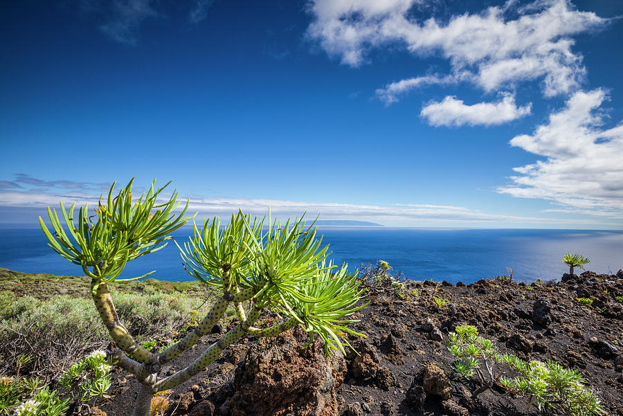 Landscape Photograph - Spain, Canary Islands, La Palma Island #1 by Walter Bibikow