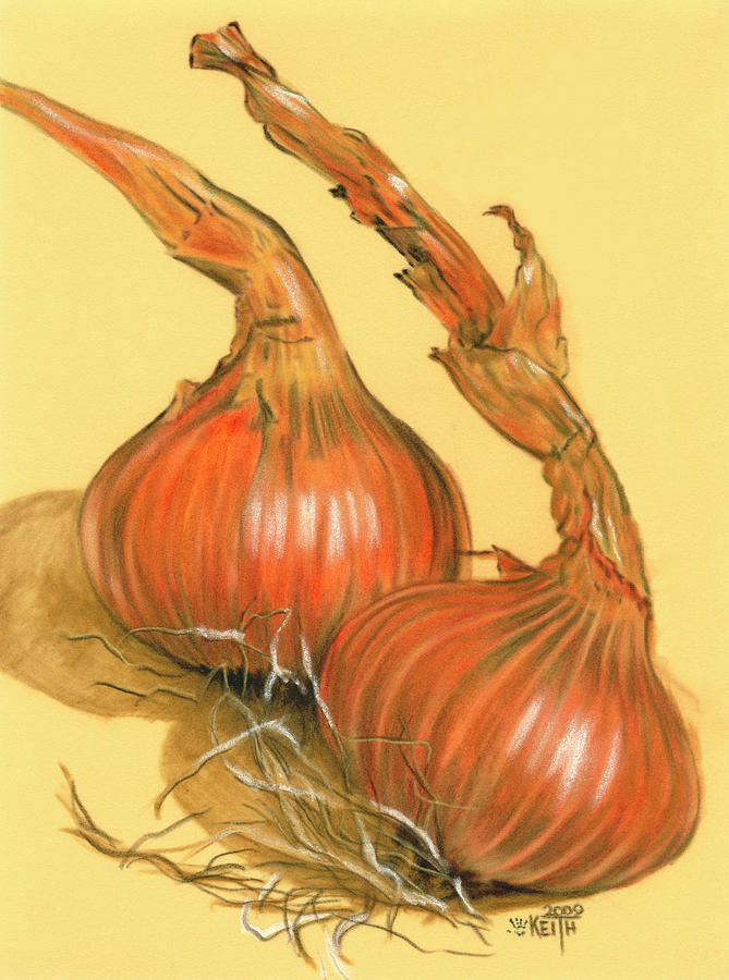 Spanish Onions #1 Painting by Barbara Keith