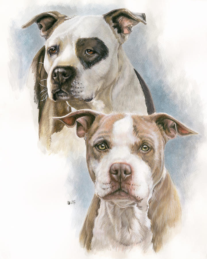 Dog Painting - Sparkle And Buster #1 by Barbara Keith