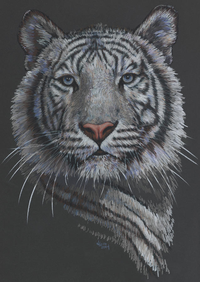 Snow Leopard Painting - Spector #1 by Barbara Keith