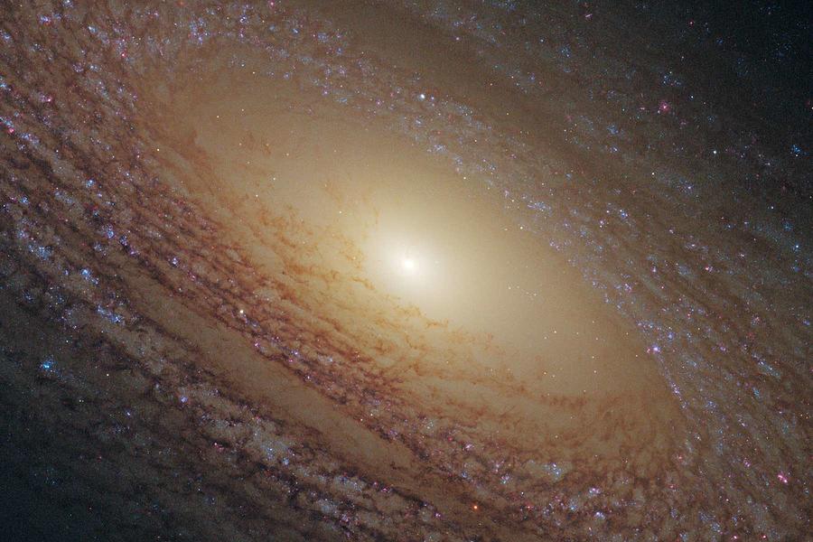 Spiral Galaxy NGC 2841 2 #1 Painting by Celestial Images