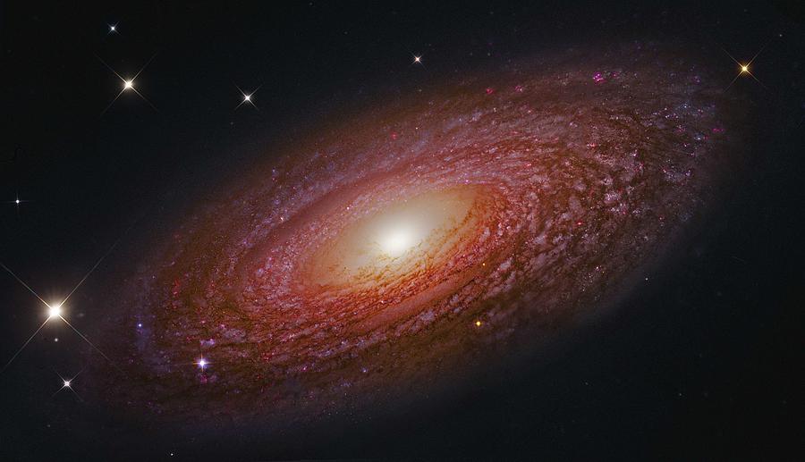 Spiral Galaxy NGC 2841 #1 Painting by Celestial Images