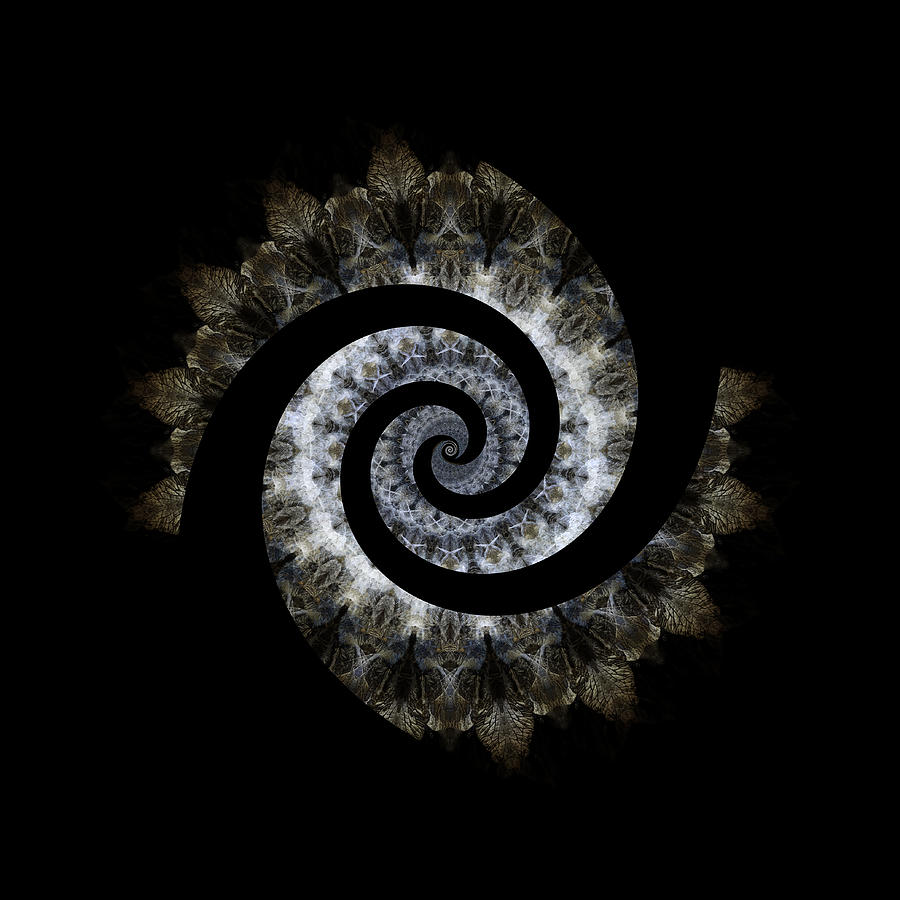 Spiral #1 Photograph by Lotte Grnkjr