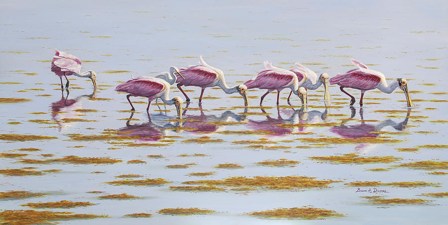 Bird Painting - Spoonbills Feeding #1 by Bruce Dumas