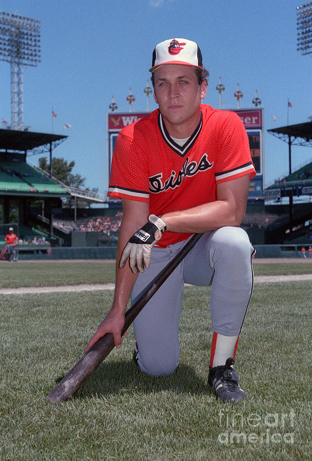Sports Contributor Archive 2019 Photograph by Ron Vesely Sports Contributor Archive 2019 Photograph by Ron Vesely