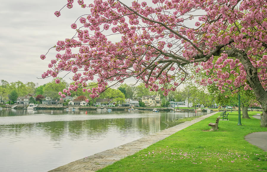 Spring At The Harbor Photograph