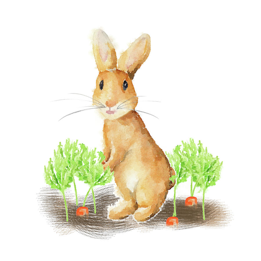 Spring Mixed Media - Spring Bunny Iv #1 by Andi Metz
