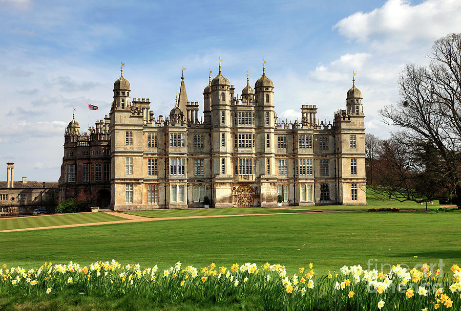 Spring Daffodils Burghley House stately home Cambridgeshire Photograph ...