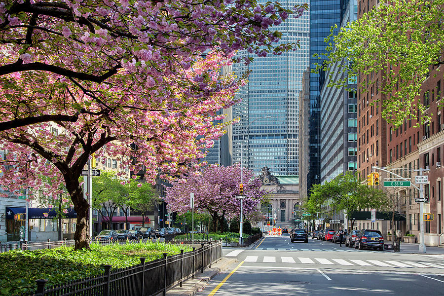 Spring On Park Avenue, Nyc #1 Digital Art by Lumiere