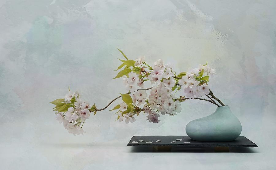 Flower Photograph - Spring Vibe . #1 by Saskia Dingemans