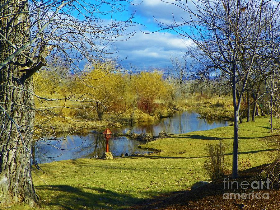 Springtime By The Lake, Boise Idaho Spring Photography Art Print ...