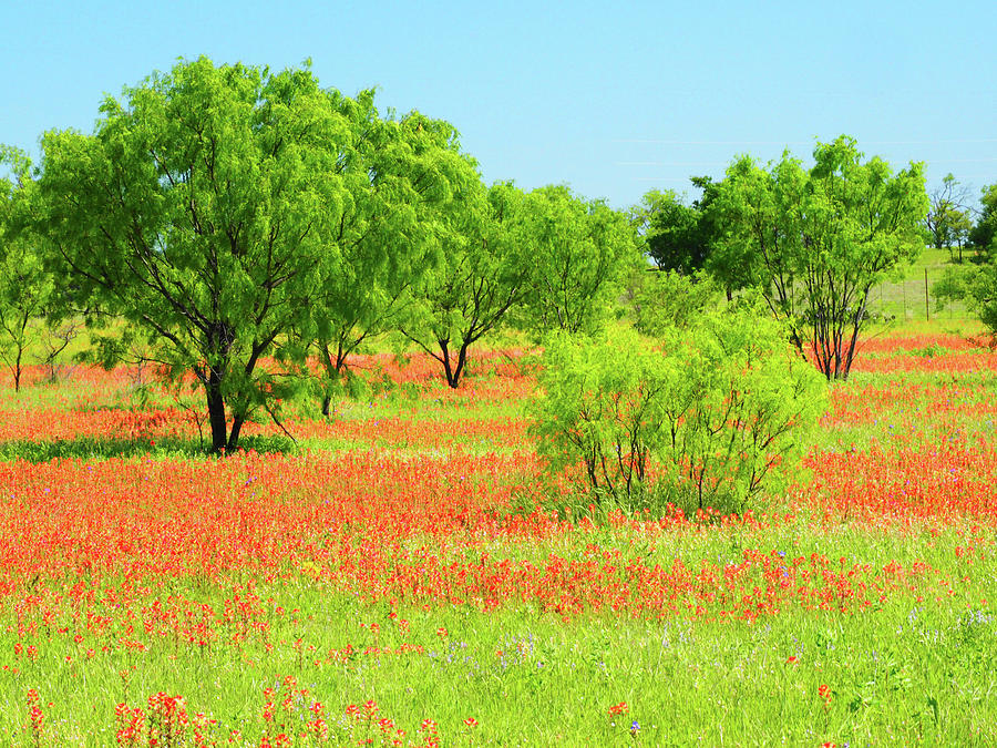 Agua Photograph - Springtime Near Independence by Sylvia Gulin Agua Photograph - Springtime Near Independence by Sylvia Gulin