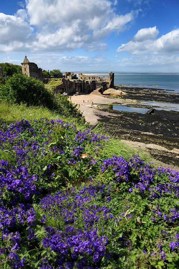 St Andrews Castle ruins on rocky North Sea coast overlooking Cas ...