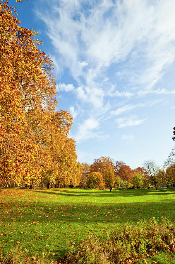St James Park During Autumn In London #1 Photograph by Cirano83