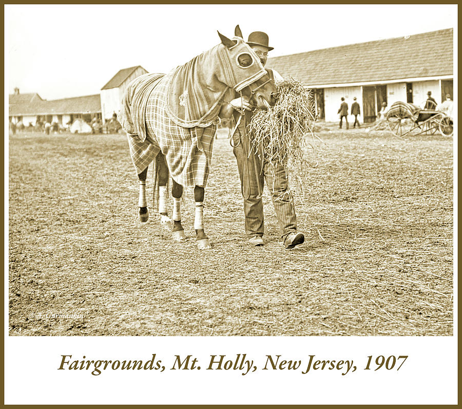 Stable Hand Walking Race Horse, New Jersey, 1907, Vintage Photog Photograph  by A Macarthur Gurmankin