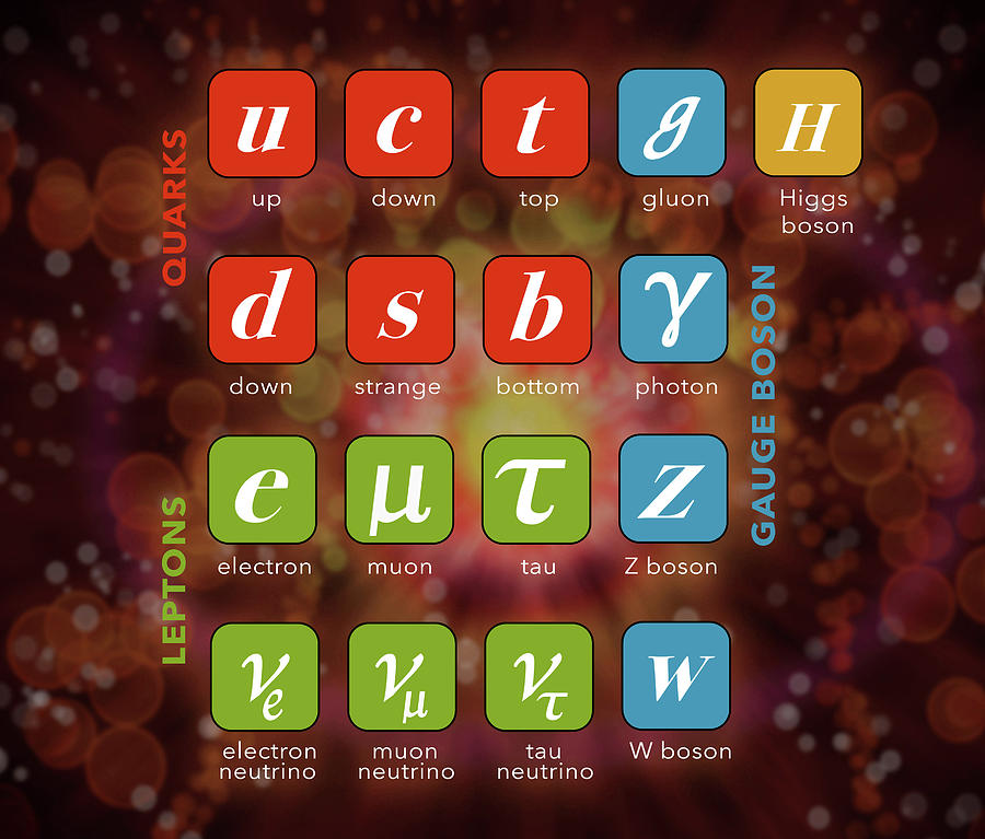 Standard Model, Particle Physics #1 Photograph by Monica Schroeder