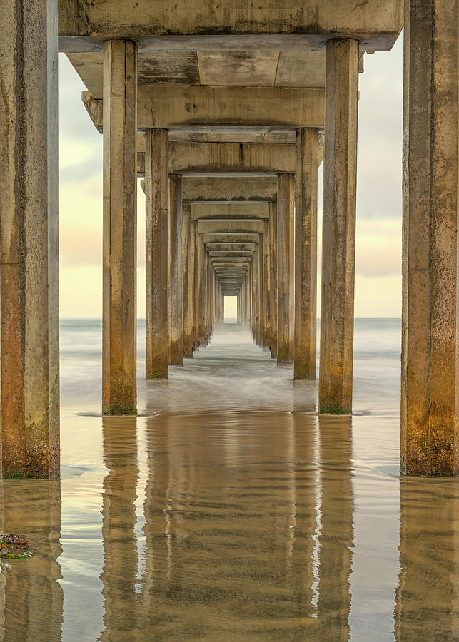 Pier Photograph - Standing Tall #1 by Joseph S Giacalone