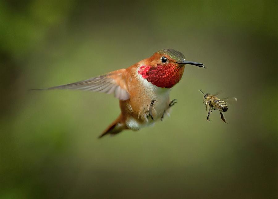 Standoff by Sheldon Bilsker Standoff by Sheldon Bilsker