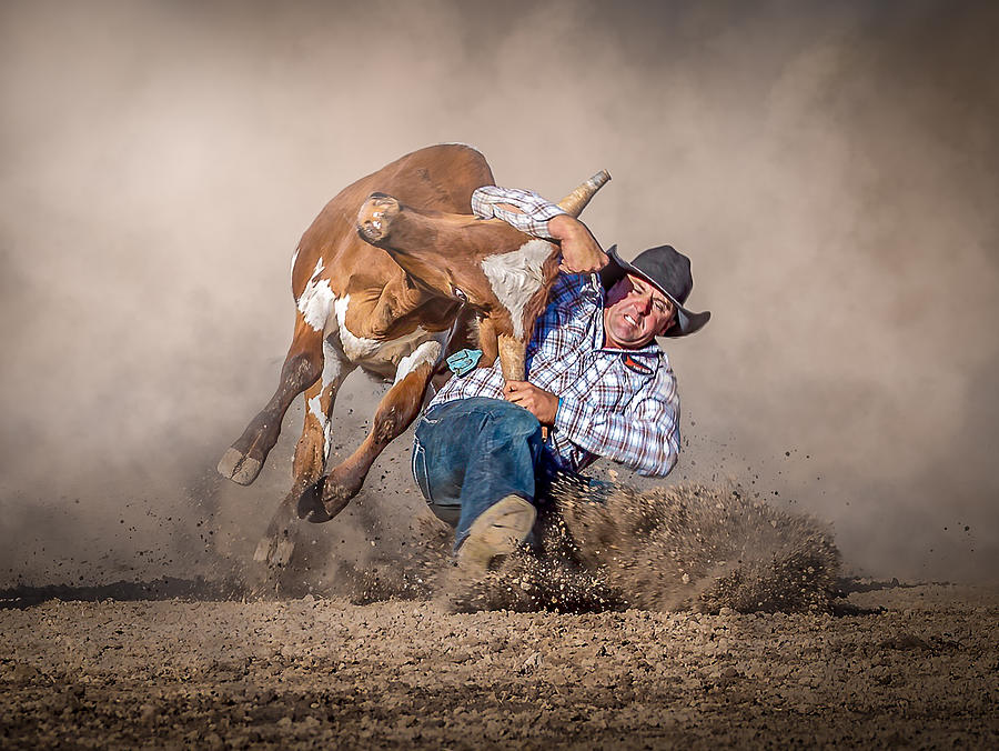 Steer Wrestling #1 Photograph by Frank Ma