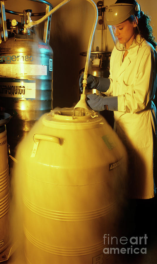 Stem Cell Storage Photograph by Pasquale Sorrentino/science Photo