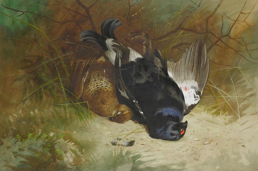 Feather Painting - Still Life Of A Pair Of Blackgame by Archibald Thorburn