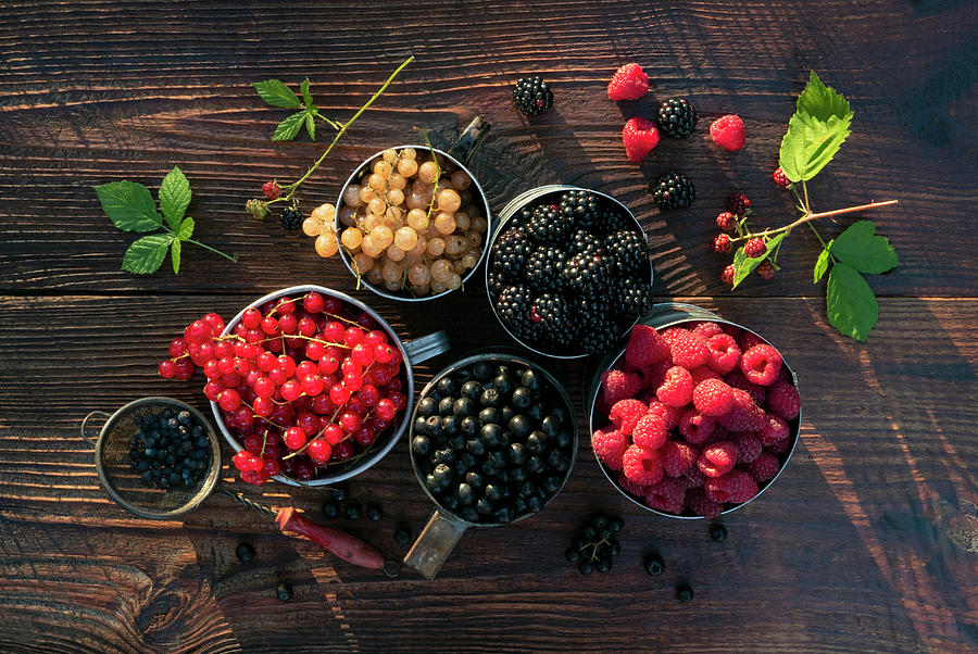 Still Life With Blackberries, Currants, Blueberries And Raspberries #1 Photograph by Magdalena & Krzysztof Duklas