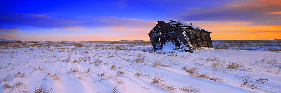 Winter Photograph - Still Standing by Kadek Susanto