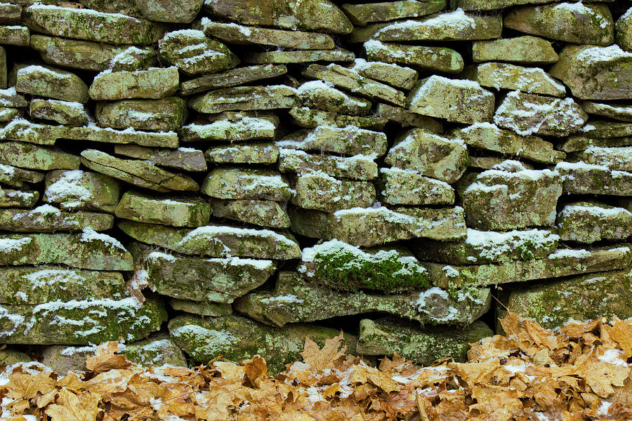 Stone Fence Photograph by Michael Gadomski