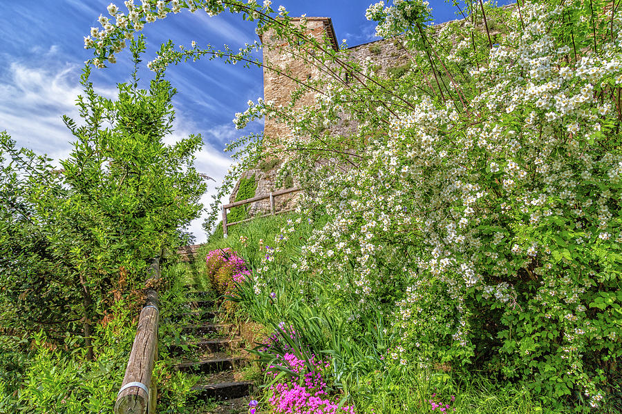 Stone steps and flowers to ancient fortress #1 Photograph by Vivida Photo PC