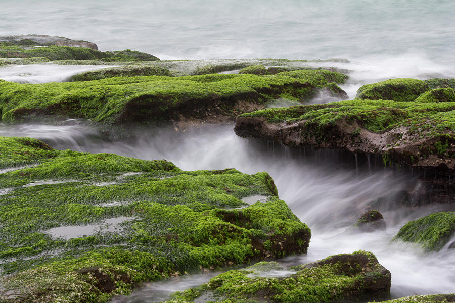 Stone Trench Of Laomei Coast #1 Photograph by Photography By Chen-kang Liu
