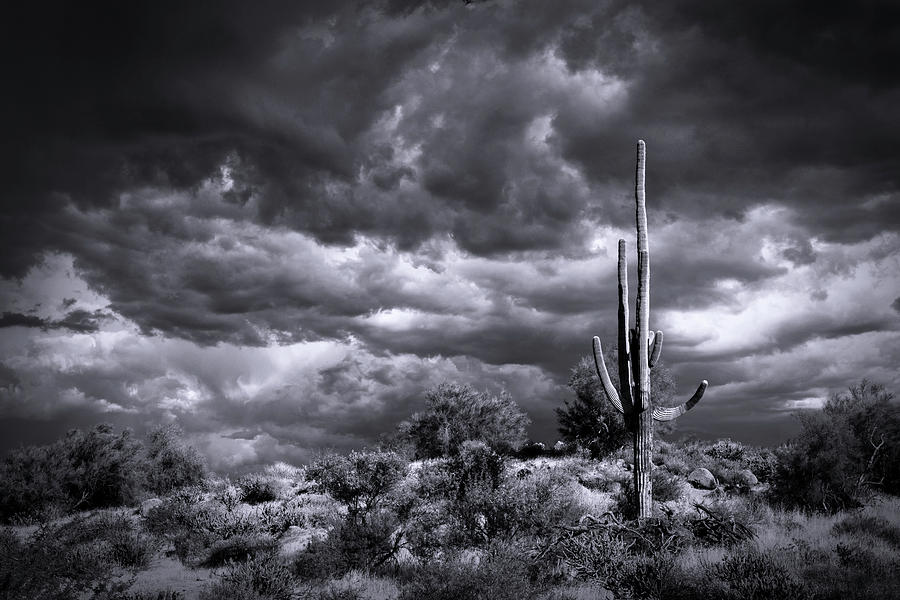 Stormy Desert Skies In Black And White  #1 Photograph by Saija Lehtonen
