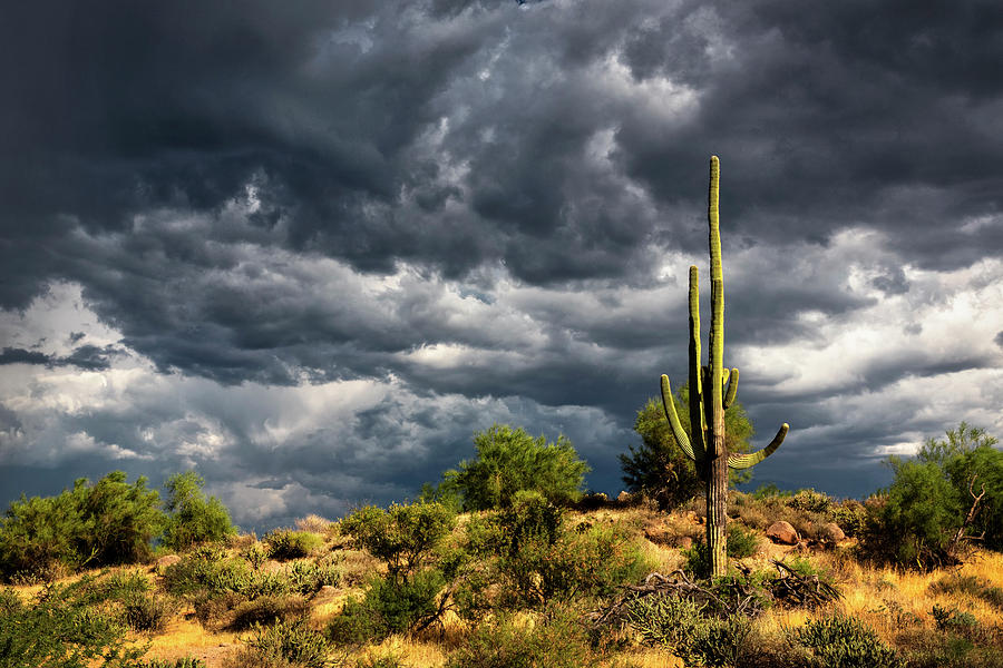 Stormy Desert Skies  #4 Photograph by Saija Lehtonen