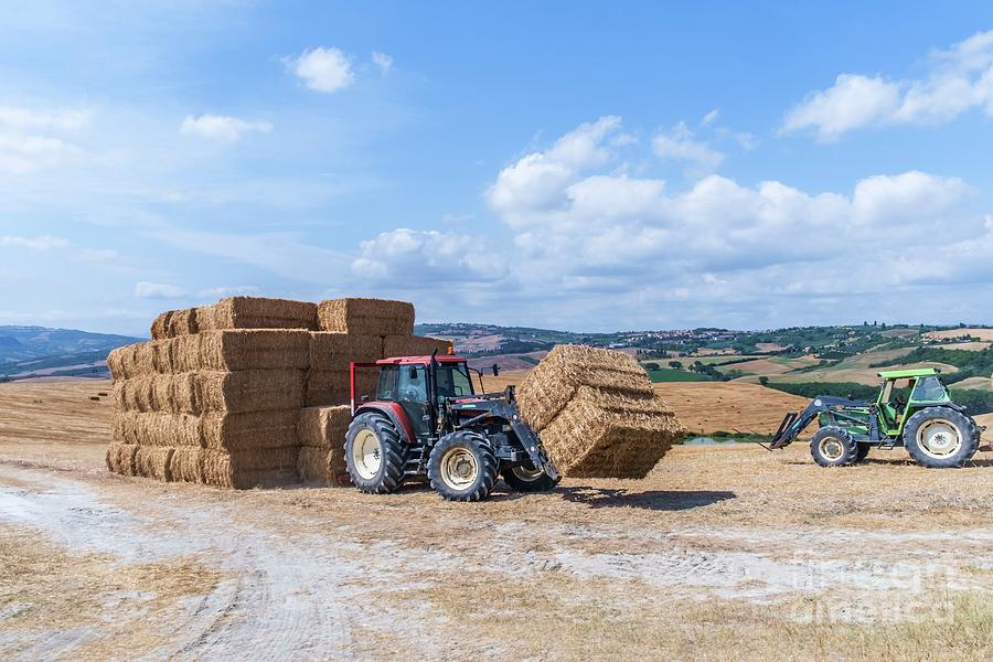 Straw Harvest #1 Photograph by Science Photo Library Straw Harvest #1 Photograph by Science Photo Library