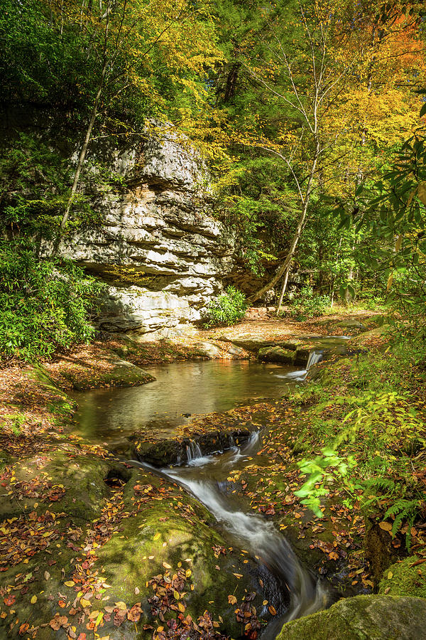 Stream to Fallingwater Photograph by Tom Weisbrook - Pixels