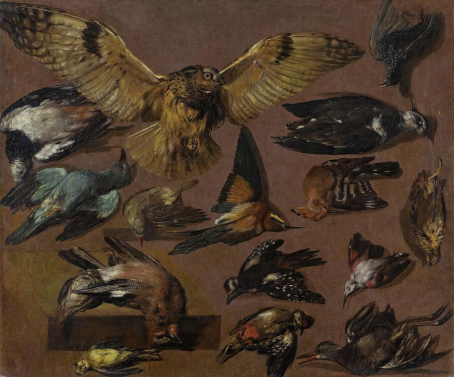 Bird Painting - Studies Of An Owl And Other Birds by Pieter Boel