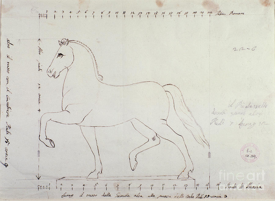 Study For A Horse For An Equestrian Monument Drawing by Antonio Canova