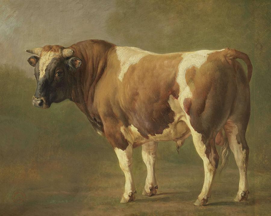 Bull Painting - Study of a Bull. #1 by Jacques Raymond Brascassat