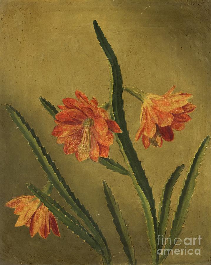 Study Of Flowers Painting by Rolinda Sharples
