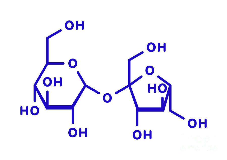 Sucrose Sugar Molecule #1 Photograph by Molekuul/science Photo Library