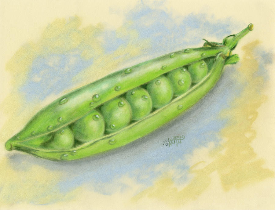 Sugar Snap Peas #1 Painting by Barbara Keith