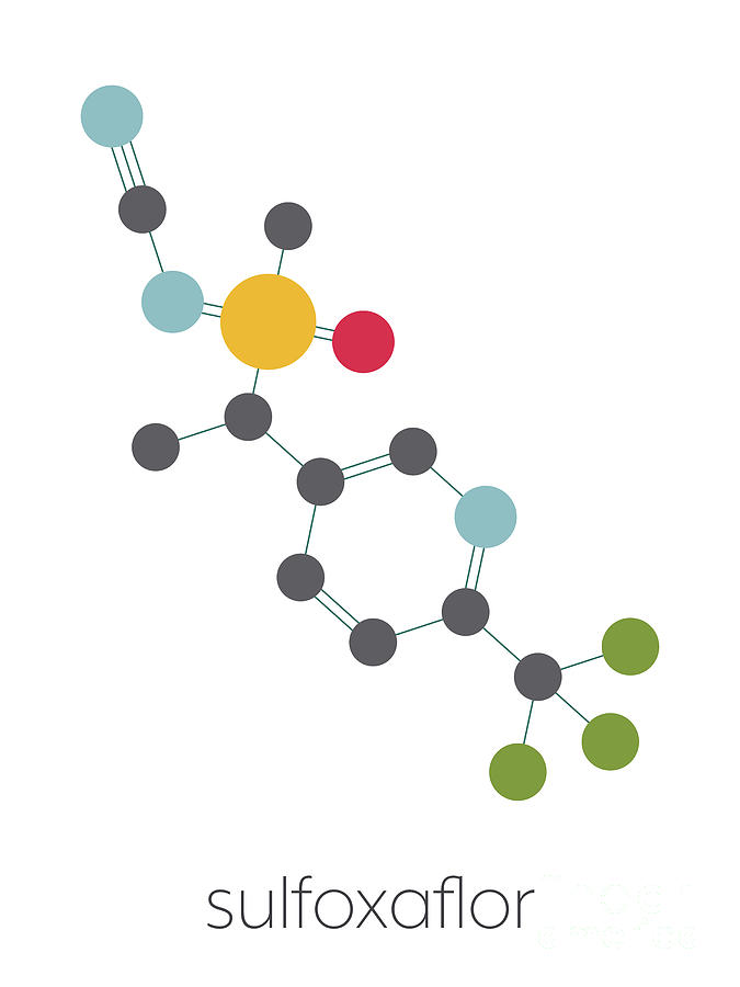 Sulfoxaflor Insecticide Molecule Photograph by Molekuul/science Photo ...