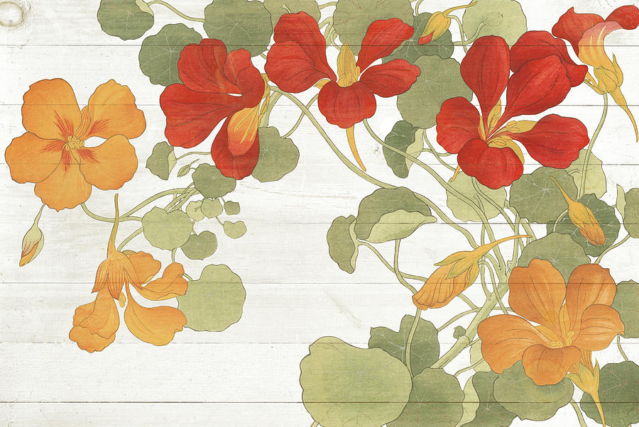 Flower Painting - Summer Nasturtiums Cottage #1 by Wild Apple Portfolio