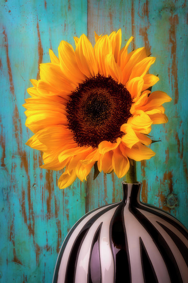 Summer Sunflower #2 Photograph by Garry Gay