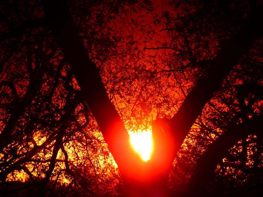 sun setting in Oklahoma  #1 Photograph by Virginia White